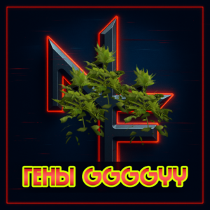 Гены GGGGYY
